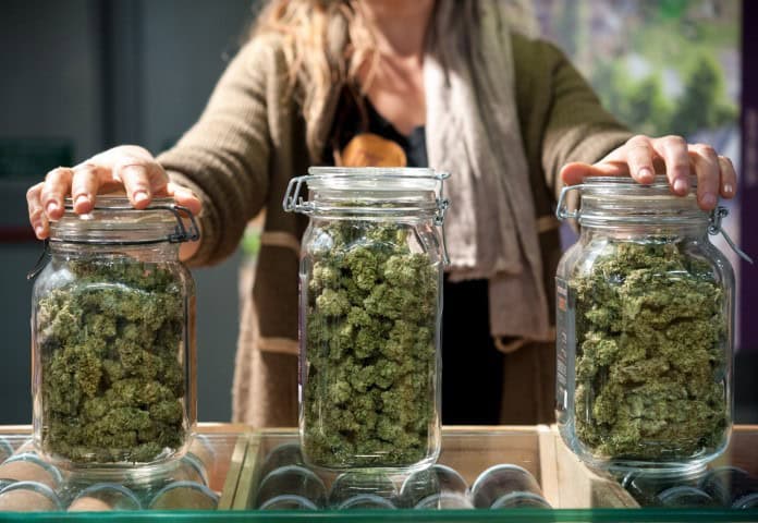 Discover Cannabis Realm: Premier Destination for Cannabis in White Plains, NY